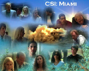 csimiamiall.jpg