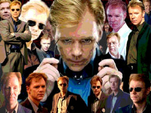 horatiowallpaper.jpg